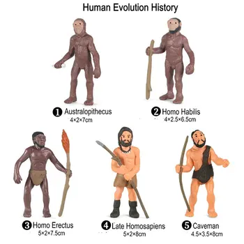 5db/Set Homo Erectus akciófigura Emberi Evolúció Történetében Szilárd PVC Mini Figura Korai Tanulás Oktatási Játékok Gyerekeknek